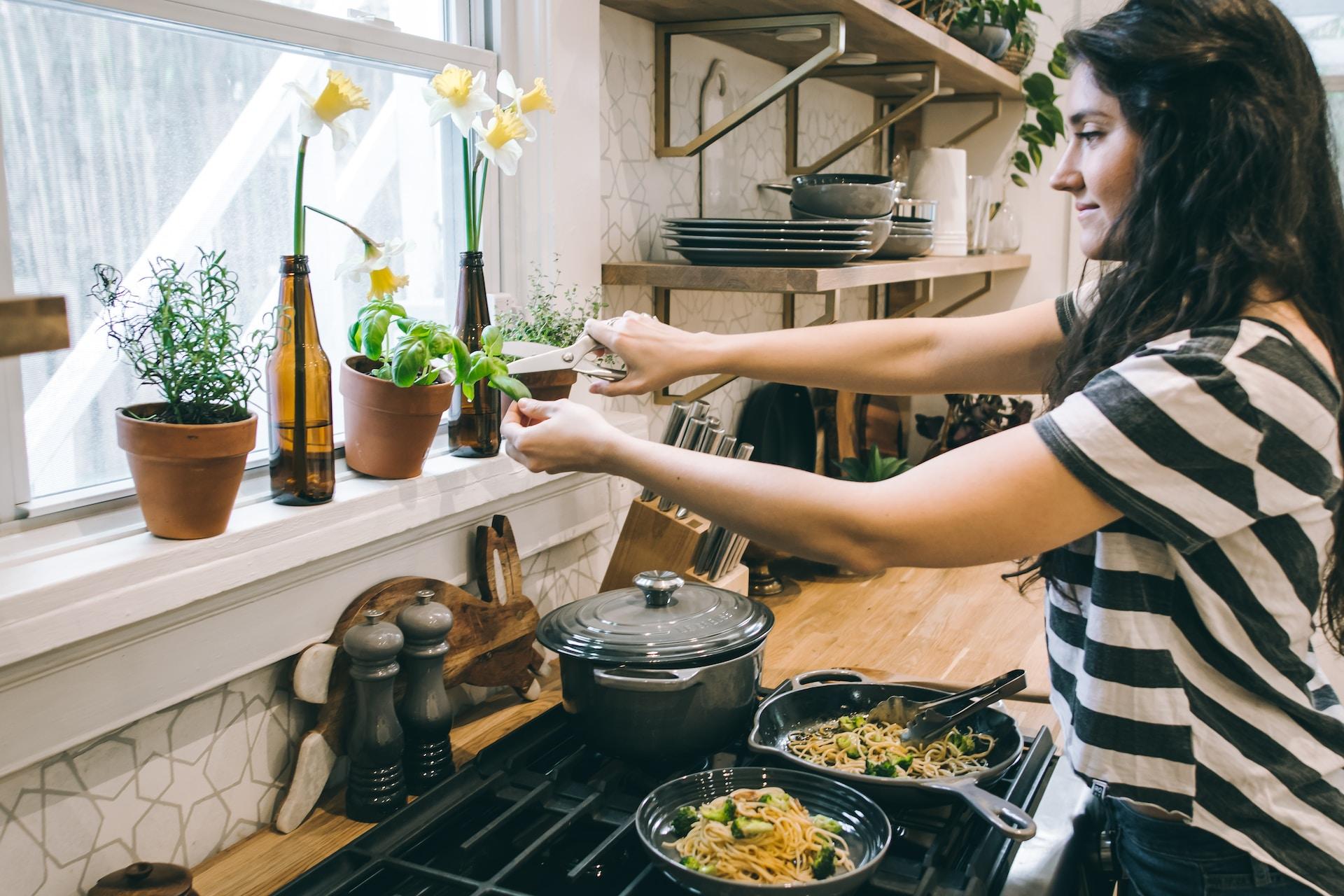 növény