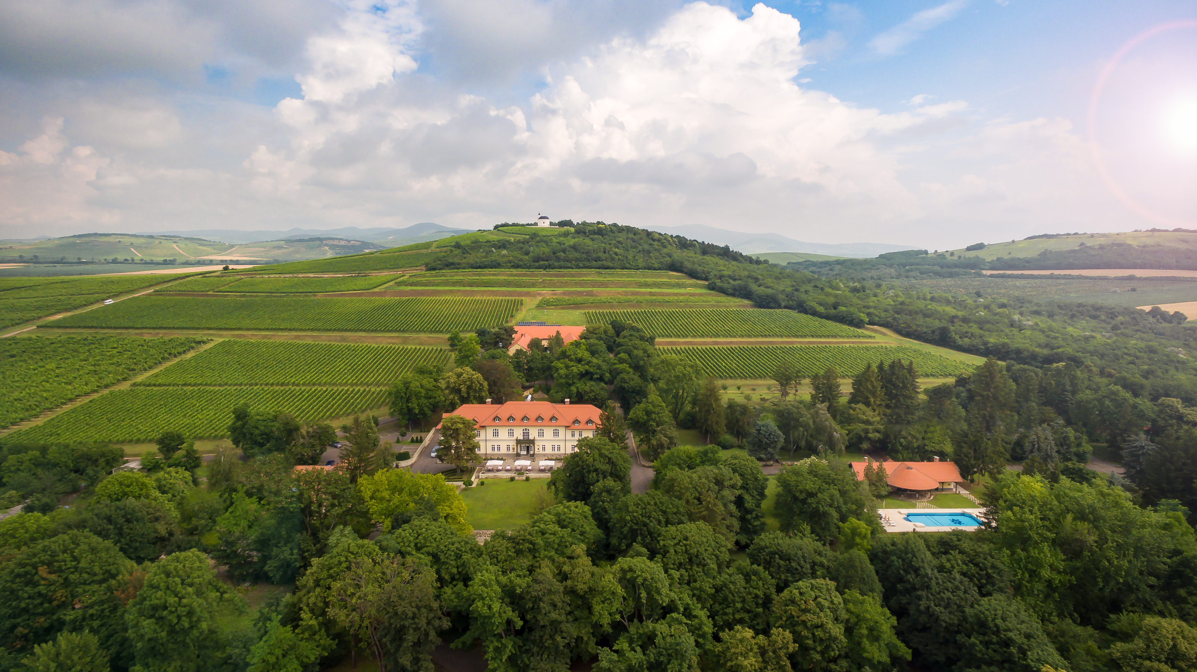 Szerzők