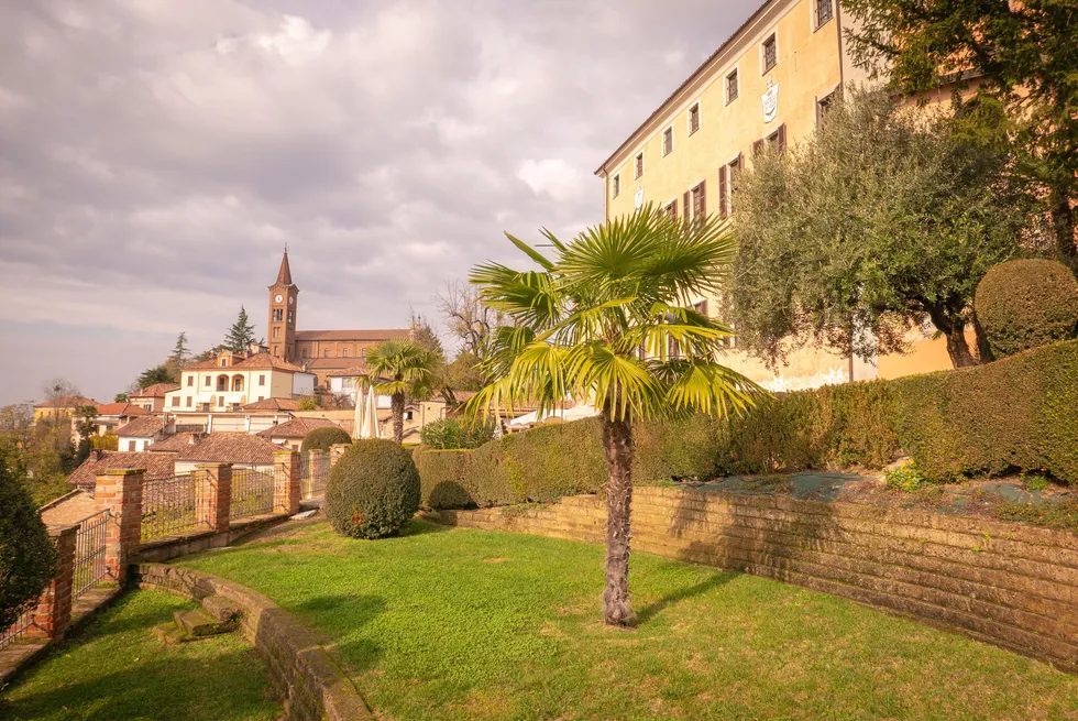 Szerzők